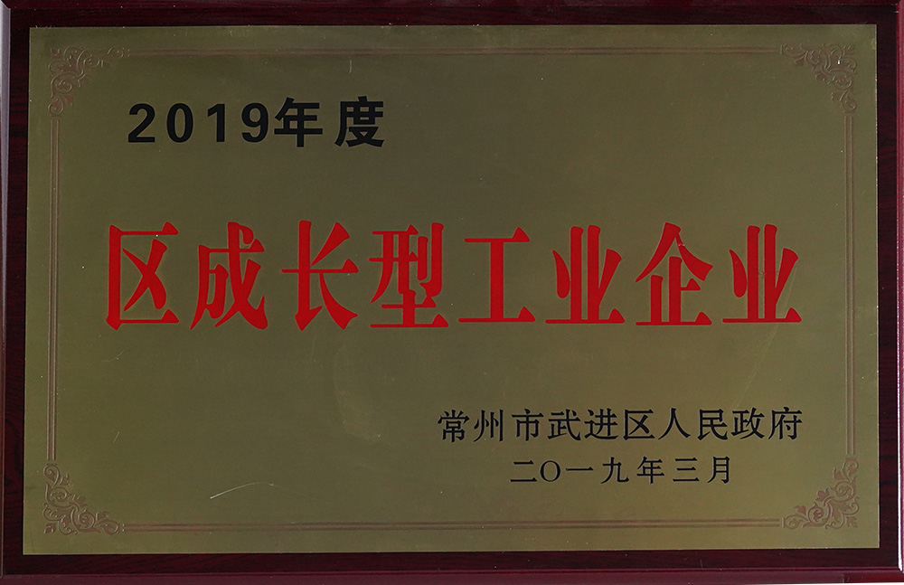 2019年度区成长型工业企业