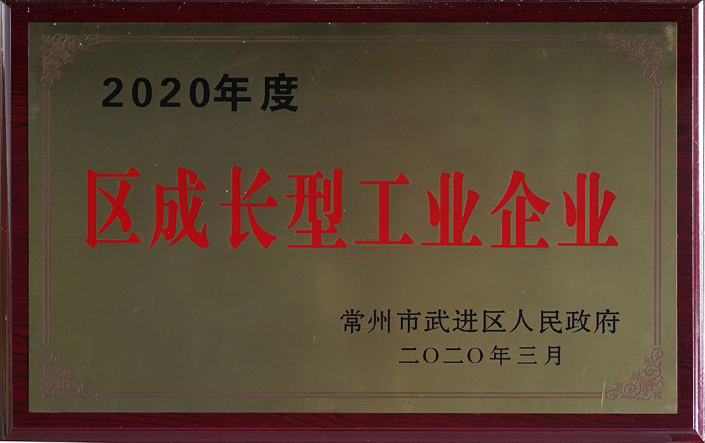 2020年度区成长型工业企业